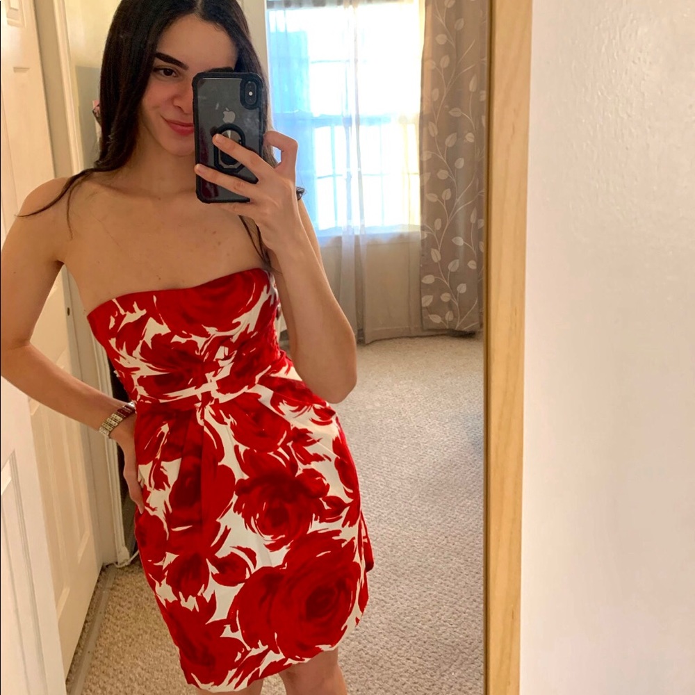 Snap Dress